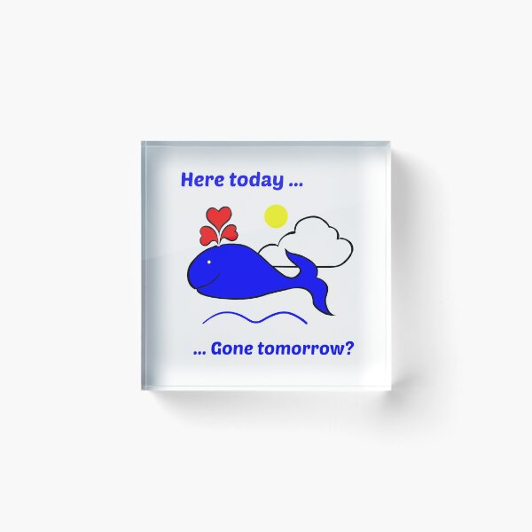 Item preview, Here Today Flying Whale designed and sold by Aurorapod.