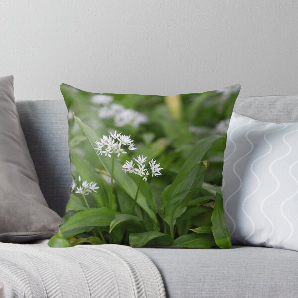 Item preview, Wild garlic or ramsons Allium ursinum designed and sold by Zosimus.