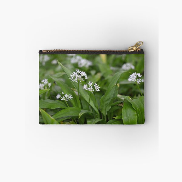 Item preview, Wild garlic or ramsons Allium ursinum designed and sold by Zosimus.