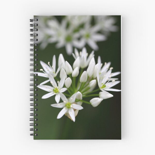 Item preview, Wild garlic or ramsons designed and sold by Zosimus.