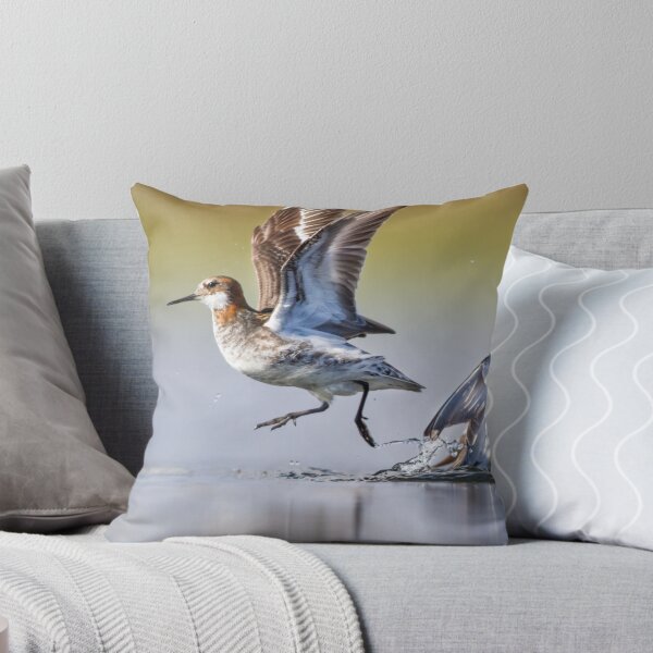 Item preview, Red-necked Phalaropes  designed and sold by baddi89.