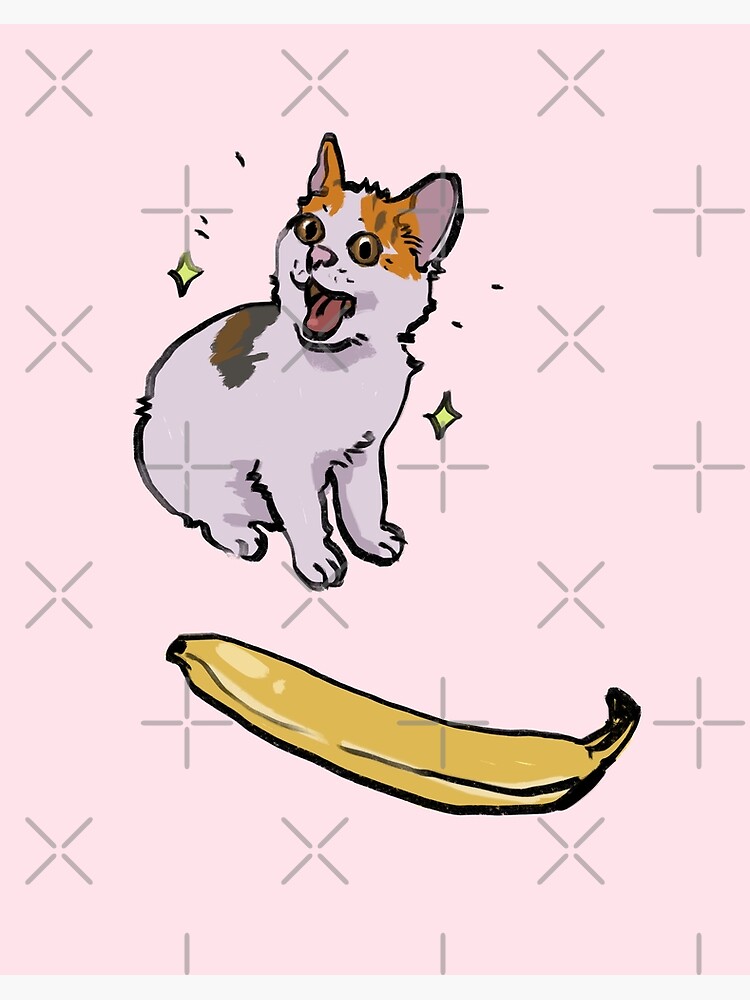 Cat No Banana Angry Cat Meme - Cat No Banana - Posters and Art Prints
