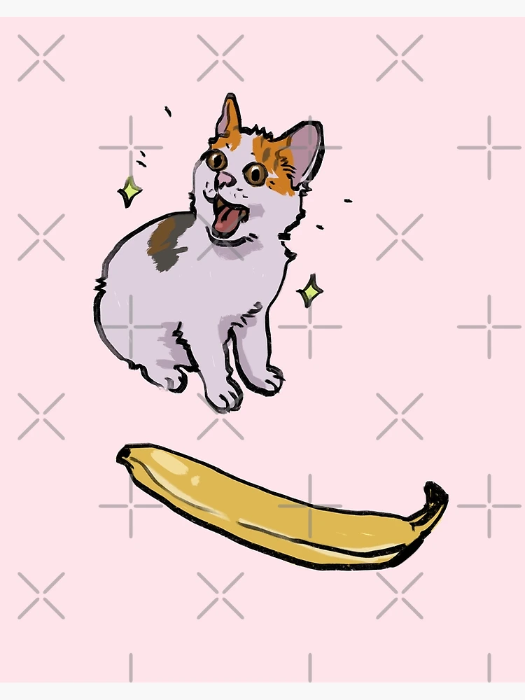 Angry cat no banana meme calico kitty hate yellow fruit - Angry