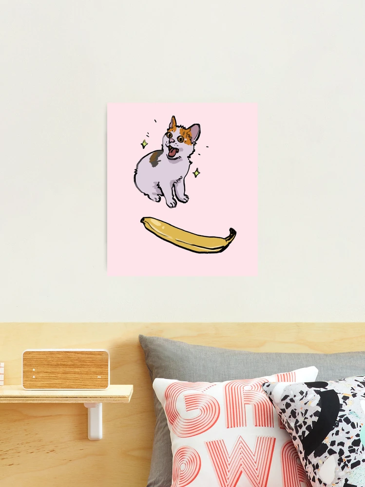 I draw the angry cat no banana meme Photographic Print for Sale