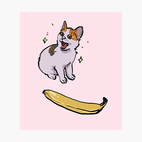 I draw the angry cat no banana meme Photographic Print for Sale