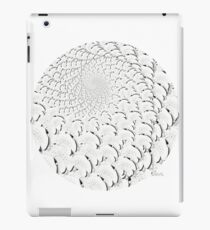 Ice Skate 532 Fractal iPad Case/Skin
