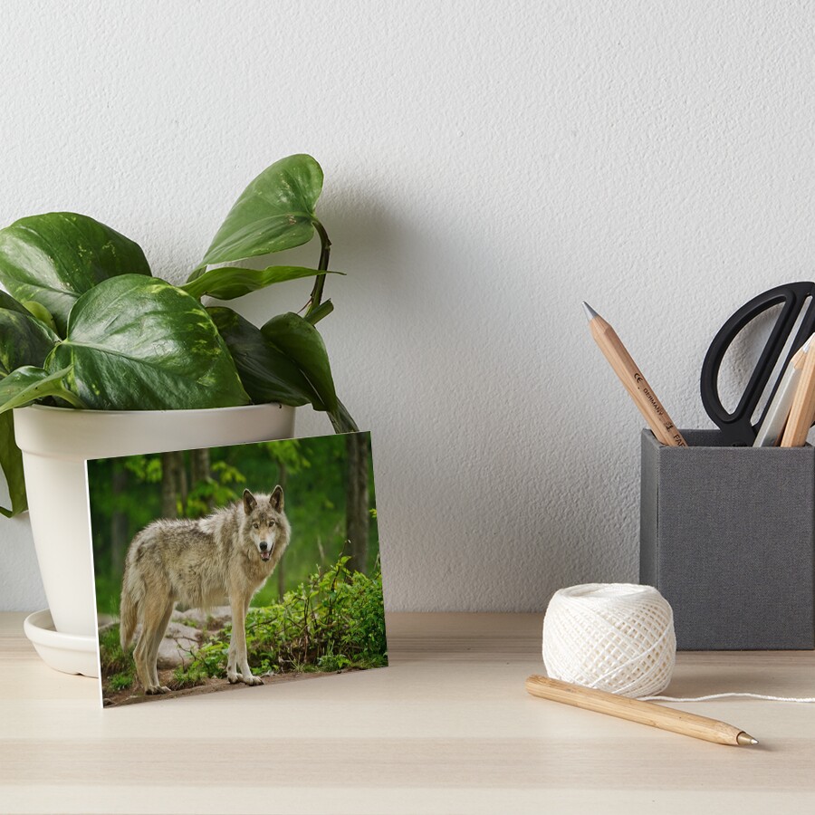 Item preview, Art Board Print designed and sold by jaydee1400.