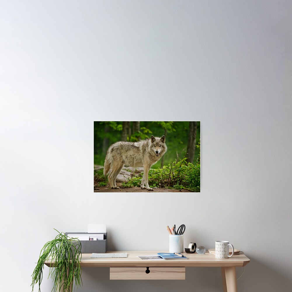 Item preview, Poster designed and sold by jaydee1400.
