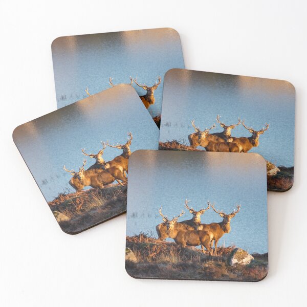 Item preview, Sundown Stags designed and sold by KGrainger-Photo.