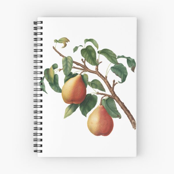 Item preview, Wild European Pear (Pyrus Pyraster) designed and sold by redoARTstore.