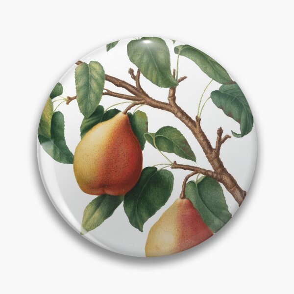Item preview, Wild European Pear (Pyrus Pyraster) designed and sold by redoARTstore.