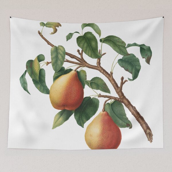Item preview, Wild European Pear (Pyrus Pyraster) designed and sold by redoARTstore.