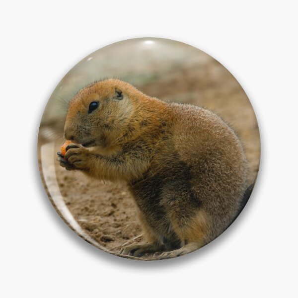 Item preview, Prairie dog eating a carrot designed and sold by GMApperal.