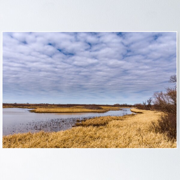 Item preview, Sand Creek at Salt Plains National Wildlife Refuge by Debra Martz designed and sold by Debra Martz.