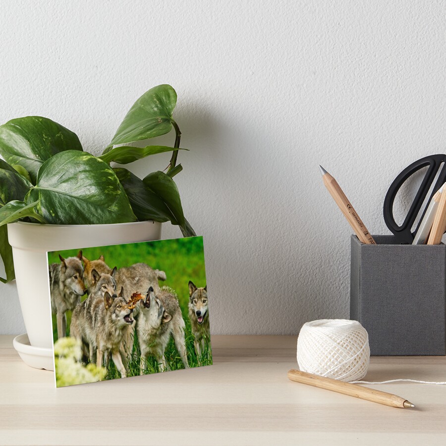 Item preview, Art Board Print designed and sold by jaydee1400.