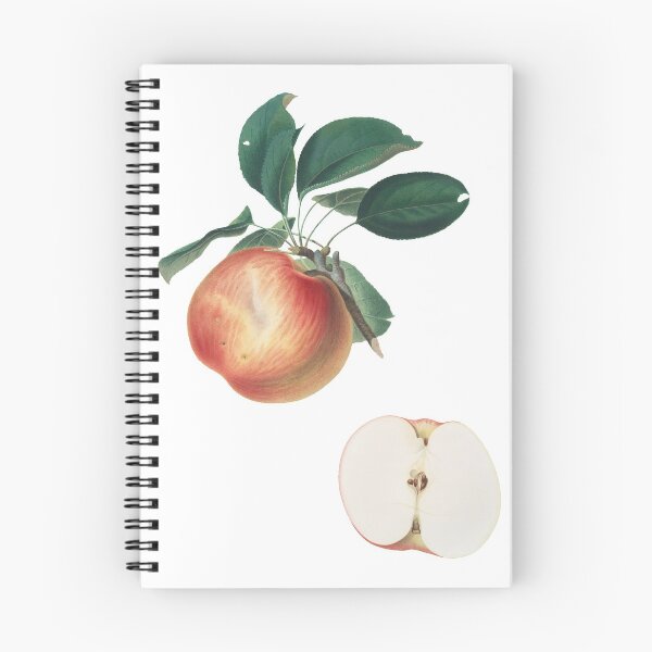 Item preview, Apple (Malus Domestica) designed and sold by redoARTstore.
