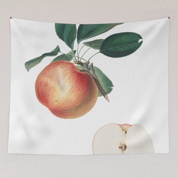 Item preview, Apple (Malus Domestica) designed and sold by redoARTstore.
