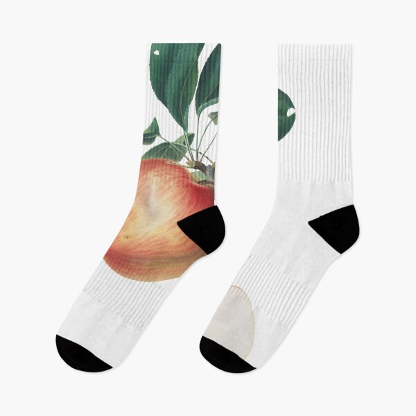 Item preview, Apple (Malus Domestica) designed and sold by redoARTstore.