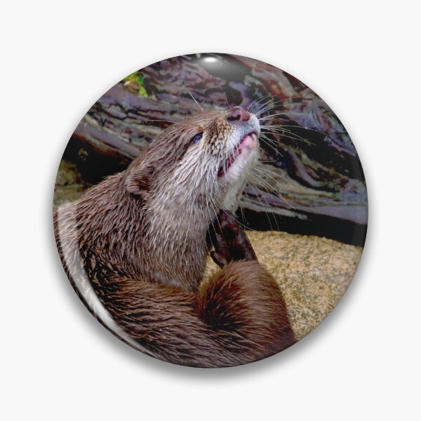 Item preview, Scratching Cute Otter designed and sold by GMApperal.