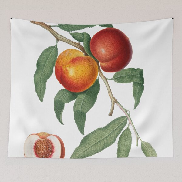 Item preview, Peach (Prunus Persica) designed and sold by redoARTstore.
