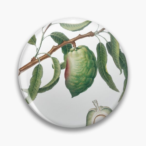 Item preview, Almond (Communis Naxea) designed and sold by redoARTstore.