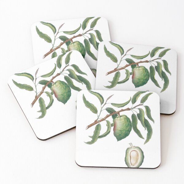 Item preview, Almond (Communis Naxea) designed and sold by redoARTstore.