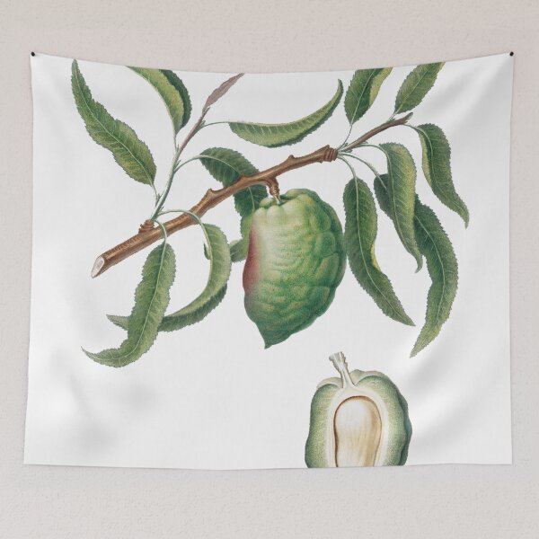 Item preview, Almond (Communis Naxea) designed and sold by redoARTstore.