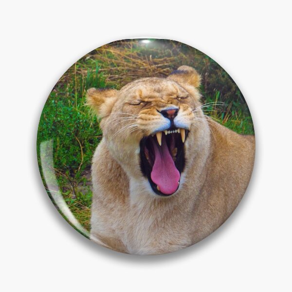 Item preview, Powerful Tired Lion designed and sold by GMApperal.