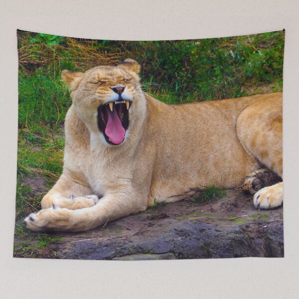 Item preview, Powerful Tired Lion designed and sold by GMApperal.