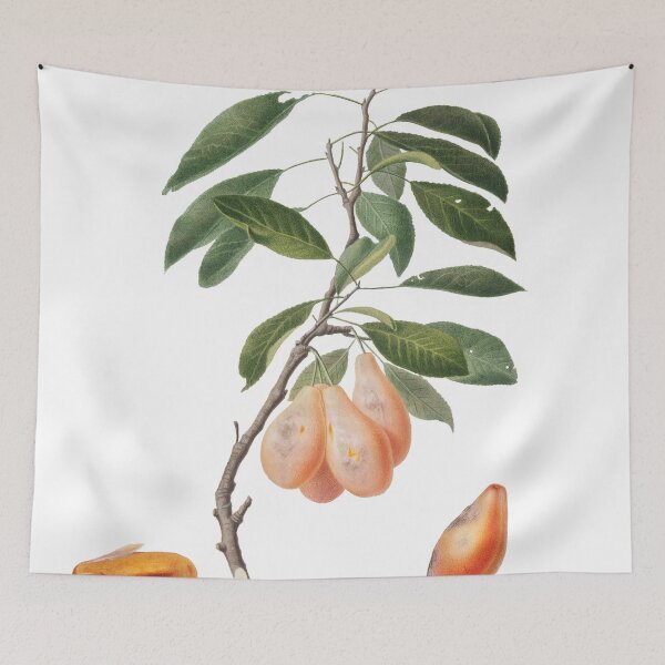 Item preview, Plum (Prunus Ligustica) designed and sold by redoARTstore.
