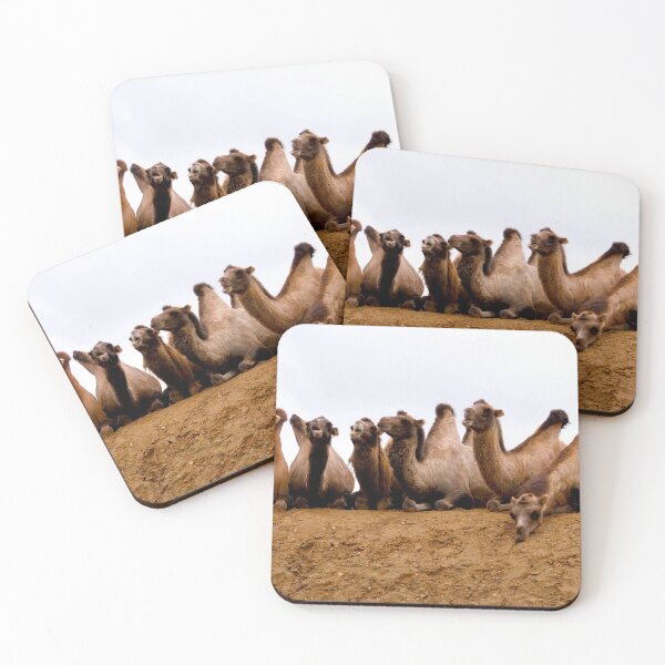 Item preview, Comedy Camel Group designed and sold by GMApperal.