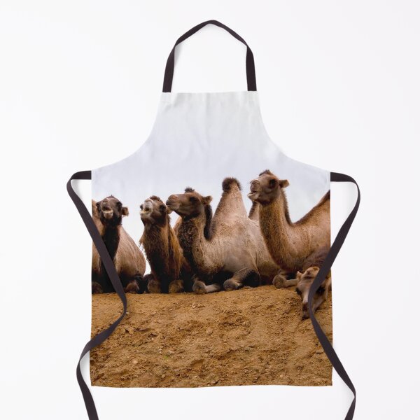 Item preview, Comedy Camel Group designed and sold by GMApperal.