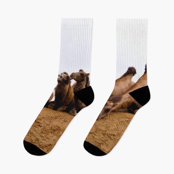 Item preview, Comedy Camel Group designed and sold by GMApperal.