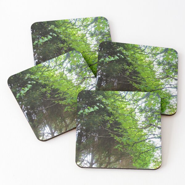 Item preview, Nature Takes Over A Railway Bridge designed and sold by realdorypanda.