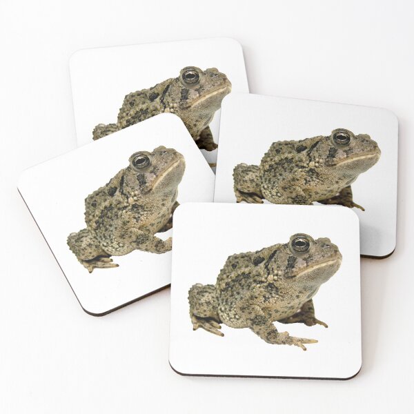 Item preview, Toad designed and sold by vuilwerk.