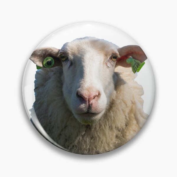 Item preview, Look Sheeply designed and sold by vuilwerk.