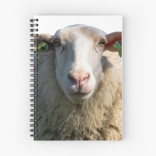 Item preview, Look Sheeply designed and sold by vuilwerk.