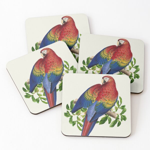 Item preview, Multicolored parrot. Tropical Bird designed and sold by LeAllureVintage.