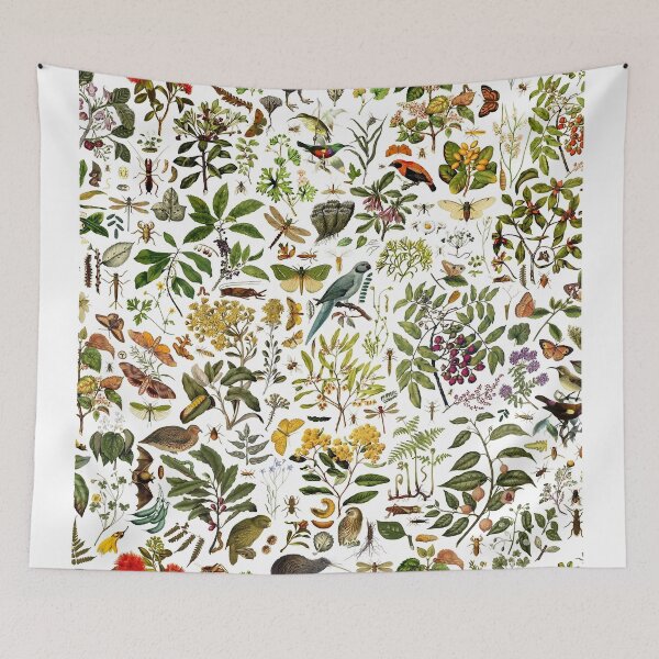 Item preview, New Zealand Biology designed and sold by taolavodich.