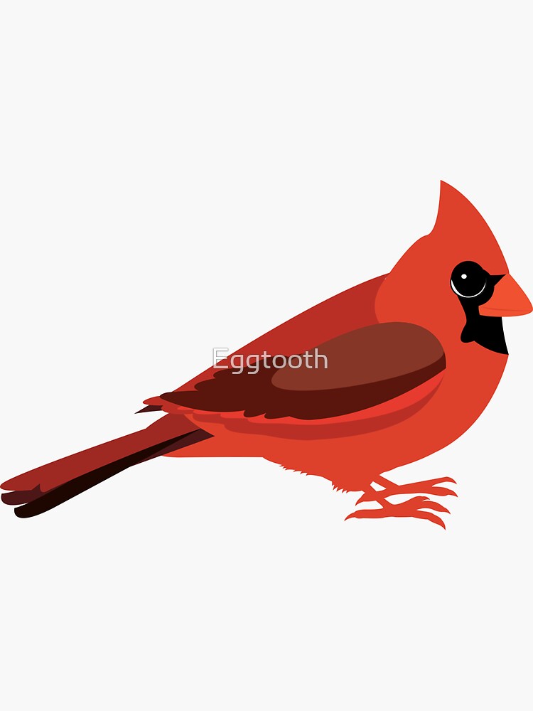 Premium Vector  Blue jay bird and red cardinal bird cartoon