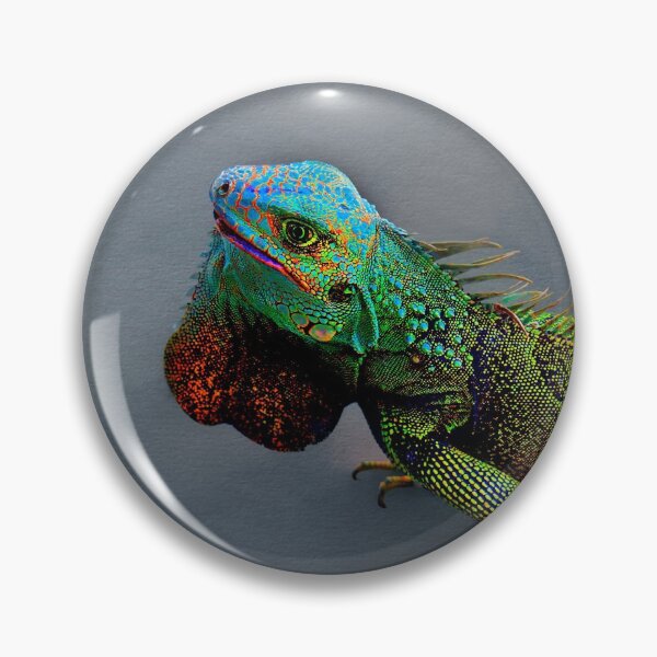 Item preview, A Tulua Iguana designed and sold by alabca.