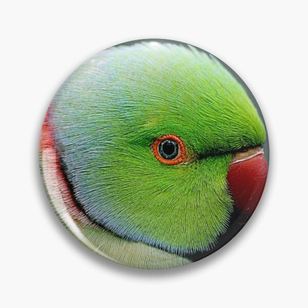 Item preview, The rose-ringed parakeet designed and sold by funniesttext.