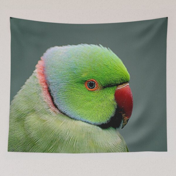 Item preview, The rose-ringed parakeet designed and sold by funniesttext.