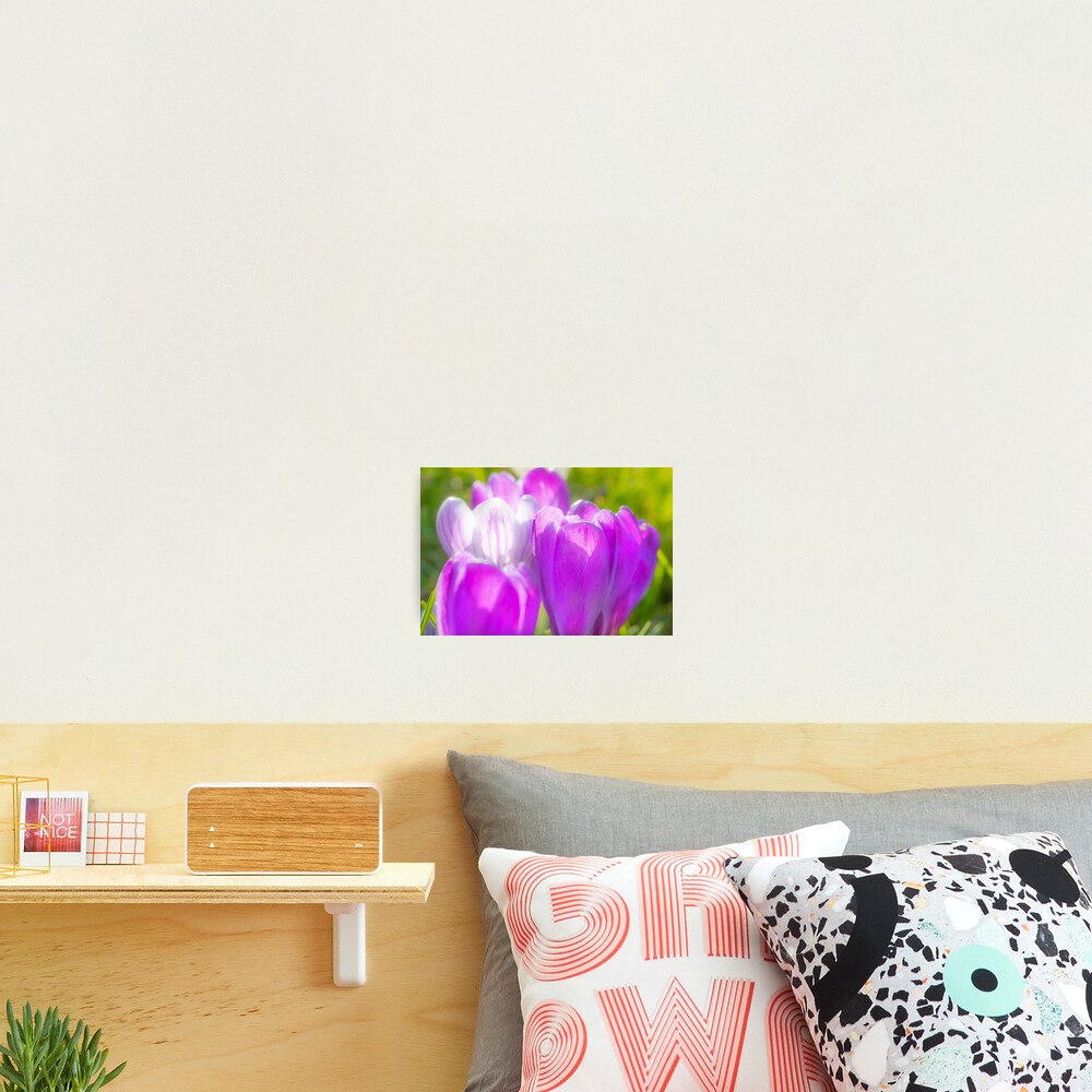 Item preview, Photographic Print designed and sold by Femaleform.