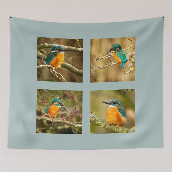 Item preview, Kingfisher Collection designed and sold by Jane Stanley Photography.