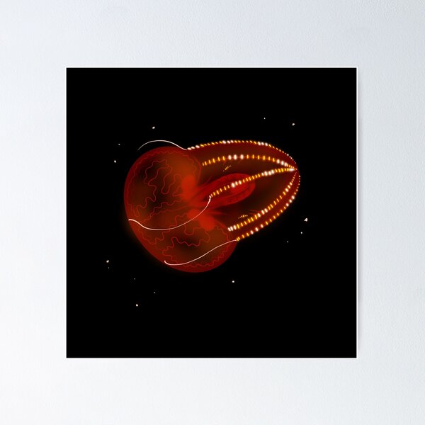Item preview, Bloodybelly Comb Jelly designed and sold by Achsa Phillippi.