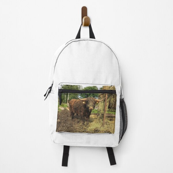 Item preview, Scottish Highland Cattle Bull 2475 designed and sold by SaarelaHighland.