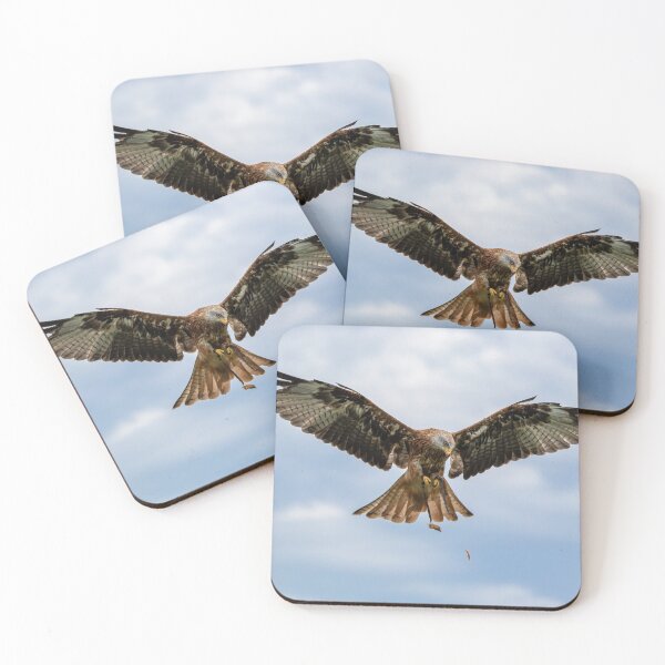 Item preview, Hawk, bird of prey designed and sold by Roberd Palm.