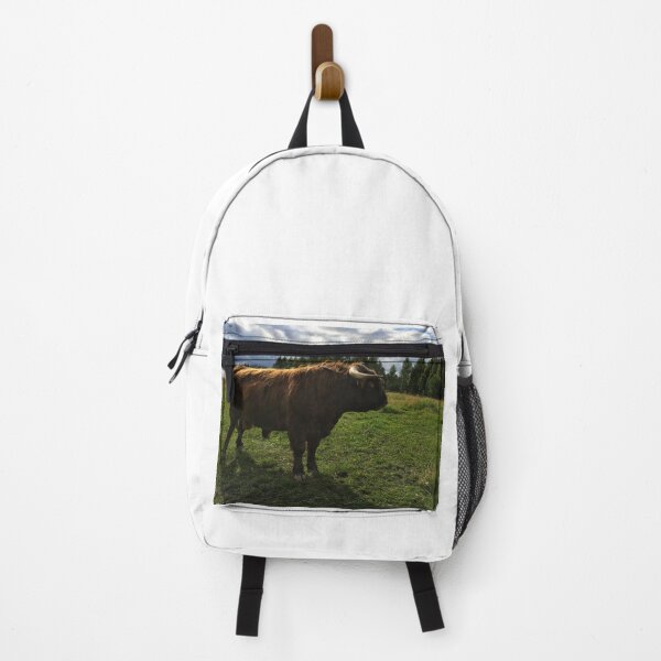 Item preview, Scottish Highland Cattle Bull 2477 designed and sold by SaarelaHighland.