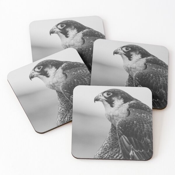 Item preview, Hawk portrait designed and sold by Roberd Palm.
